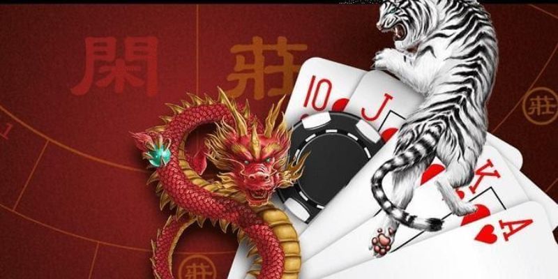 Hướng dẫn luật chơi Rồng Hổ online chi tiết, dễ hiểu cho hội viên tại Kubet77